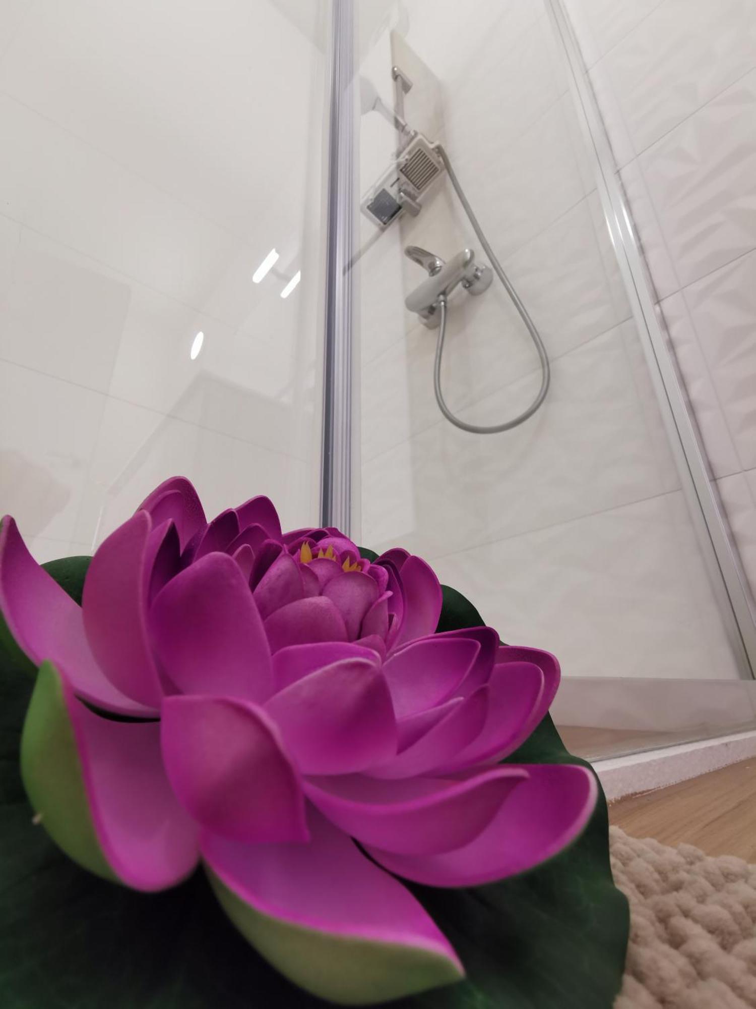 Locazione La Scacchiera Apartment